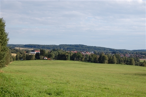 Obrázek v galerii